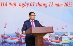 Điểm tên loạt tỉnh còn để tàu cá vi phạm khai thác IUU tại hội nghị do Thủ tướng Phạm Minh Chính chủ trì