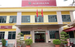 Agribank chuyển đổi số mang lại tiện ích cho khách hàng