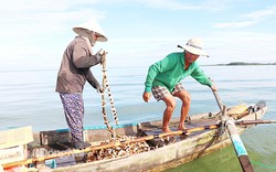 Mẹo hay: Dùng vỏ sò đuổi bắt loài cá đặc sản của lòng hồ Trị An