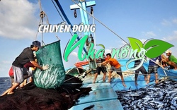 Chuyển động Nhà nông 10/12: Khắc phục "thẻ vàng" IUU - Nâng cao ý thức cho ngư dân