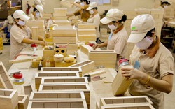 Rủi ro khi gỗ Việt vẫn phụ thuộc lớn vào nguồn gỗ nhập khẩu từ Trung Quốc