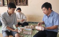 Cho gà đẻ ăn thêm các loại cây thảo dược, anh nông dân Đắk Lắk cứ bán một quả trứng lãi hơn 1.000 đồng