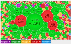 Nhóm chứng khoán đua nhau tím trần, trừ TVB, TVC 'lao dốc không phanh' vì Chủ tịch bị khởi tố