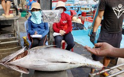 Thị trường Trung Quốc ngày càng khó tính, sẽ có những thay đổi bất ngờ gì đối với ngành thủy sản?