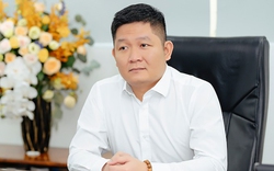 Khung hình phạt tội danh ông Phạm Thanh Tùng - Chủ tịch HĐQT Chứng khoán Trí Việt bị khởi tố