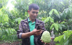 HND Sơn La: Hỗ trợ hơn 19.500 nông hộ lên sàn thương mại điện tử