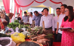 Hội Nông dân Quảng Trị tích cực đưa sản phẩm OCOP lên sàn thương mại điện tử