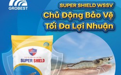 Super Shield WSSV: Giải pháp dinh dưỡng tiếp nối thành công của dòng thức ăn chức năng Super Shield