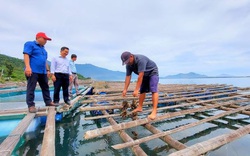 TT-Huế: Quỹ Hỗ trợ nông dân cho hội viên vay hàng chục tỷ đồng để phát triển kinh tế 