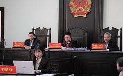 Bị phạt tù vì xâm phạm quyền “sở hữu công nghiệp” của Tôn Phương Nam