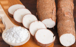 Trung Quốc tăng mua đến 93,1% tổng lượng sắn và các sản phẩm từ sắn của Việt Nam
