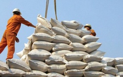 Ấn Độ chính thức dỡ bỏ lệnh cấm xuất khẩu đối với gạo Việt Nam