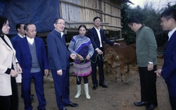 Chủ tịch Hội Nông dân Việt Nam Lương Quốc Đoàn trao tặng bò sinh sản cho hộ nghèo ở Lào Cai