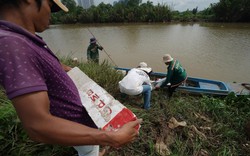 TP.HCM phê duyệt hệ số điều chỉnh giá đất để bồi thường dự án thành phần 1A đường Vành đai 3