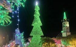 Cây thông Noel "khổng lồ" làm bằng 2.500 nón lá trở thành điểm check-in cho giới trẻ phía Nam