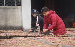 Cả làng Tây Lân ở Nghệ An làm hương hối hả trả đơn hàng, bán sang cả Lào, có nhà thuê 20 lao động