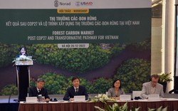 Bán "hàng hóa CO2" từ rừng, tỉnh Quảng Nam thu 5 triệu USD/năm 