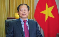 Bộ trưởng Ngoại giao Bùi Thanh Sơn bị đề nghị kỷ luật, Đại sứ Việt Nam ở Malaysia bị cách chức vụ Đảng