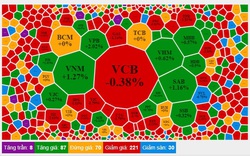 Thị trường giằng co, VN-Index kết phiên trong sắc đỏ