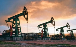 Giá xăng dầu hôm nay 24/12: Tăng vọt sau động thái "nóng" của Nga