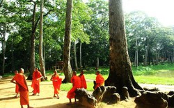 Thành phố nào ở miền Tây được gọi là "thành phố cây xanh", thành phố này có một cái ao nổi tiếng cả nước