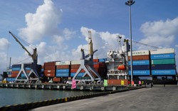 Khai trương tuyến dịch vụ vận tải container nội địa đầu tiên đến cảng Chân Mây
