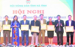 Toàn tỉnh Hà Tĩnh có 28 Chi hội nông dân nghề nghiệp, 795 Tổ hội nông dân nghề nghiệp