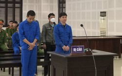 Dắt nhau vào tù vì bảo lãnh chuyên gia "dỏm" ở lại Việt Nam trái phép