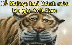 Ảnh chế: Hổ Malaysia hóa thành… mèo khi gặp ĐT Việt Nam