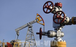 Nga cấm xuất khẩu dầu cho các quốc gia áp mức giá trần