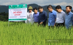 “Làn gió mới” thúc đẩy tái cơ cấu nông nghiệp: Xây dựng người làm khuyến nông chuyên nghiệp