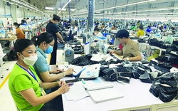 Gia tăng tỷ lệ tận dụng ưu đãi của doanh nghiệp Việt Nam trong CPTPP