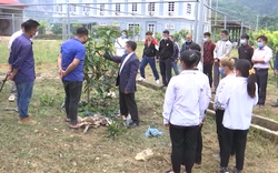 Đẩy mạnh đào tạo nghề cho lao động nông thôn ở Sơn La