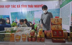Thái Nguyên: Hội chợ kích cầu tiêu dùng gắn với cuộc vận động “Người Việt ưu tiên dùng hàng Việt”