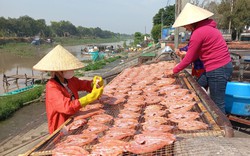 Giá khô cá ở Long An tăng mạnh, loại khô cá nào bán đắt nhất?