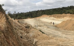 Đắk Lắk: Doanh nghiệp múc rừng phòng hộ để làm đường