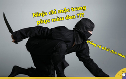 Trang phục của Ninja Nhật Bản không phải màu đen, vậy là màu gì?