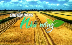 Chuyển động Nhà nông 31/12: Nông nghiệp đóng góp 5,11% vào tốc độ tăng thêm của toàn nền kinh tế