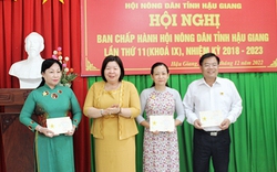 Hội Nông dân tỉnh Hậu Giang thực hiện đạt và vượt 12/12 chỉ tiêu thi đua công tác Hội và phong trào nông dân