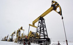 Các nước EU phê chuẩn áp giá trần 60 USD/thùng với dầu Nga
