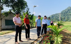 Nông thôn mới Hà Giang: Vị Xuyên thi tuyến đường kiểu mẫu, có đường hoa nông thôn mới sáng-xanh-sạch-đẹp