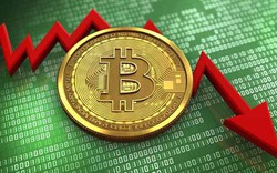 Giá Bitcoin hôm nay 06/12: Đồng loạt đi xuống, dự báo gây sốc về giá Bitcoin