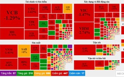 Nới room tín dụng từ 1,5% -2%, thị trường chứng khoán vẫn "rực lửa"