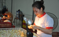 CLIP: Nhận lương 60 triệu đồng/tháng, nữ 8X quê Phú Thọ chỉ việc nhìn xem gà trống hay gà mái