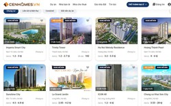 Vì sao Cenhomes.vn trở thành công cụ tra giá nhà đất online hàng đầu hiện nay?