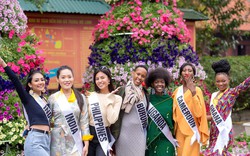 Làng hoa Mê Linh bất ngờ đón tiếp các hoa hậu Miss Tourism World 2022