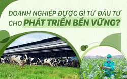 Doanh nghiệp được gì từ đầu tư cho phát triển bền vững?