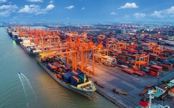 Ngành hải quan tăng cường cải cách, tạo thuận lợi cho hoạt động thương mại, xuất nhập khẩu