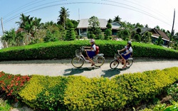 Nông thôn mới Kiên Giang, rực rỡ, đẹp như mơ những tuyến đường hoa