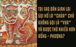 Tại sao dân gian lại gọi Hổ là “chúa” chứ không gọi là “vua” và được thờ nhiều hơn rồng – phượng?